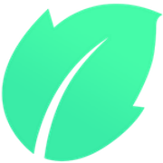 Mintt Studio logo