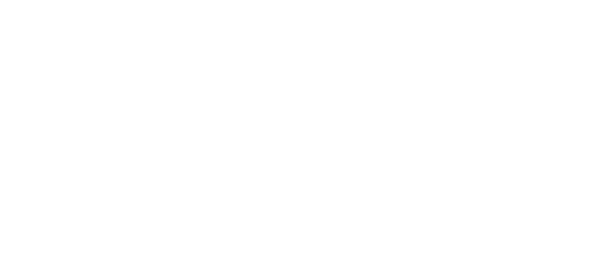 Lifetimely logo