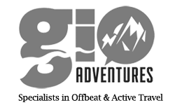Shopacado logo
