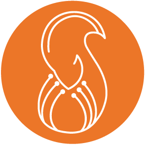 Squirai Technology Ltd. logo