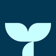 Triple Whale logo